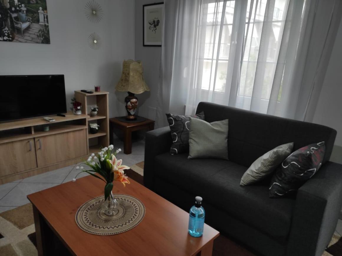 S.T Family Apartement Kalampáka Buitenkant foto